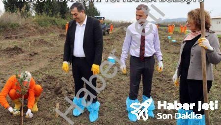 Dalaman Cezaevi’nde Tarımsal Hamle: Sakız Ağacı Fidanları Toprakla Buluştu