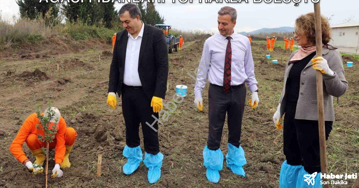 "Dalaman Cezaevi'nde Tarımsal Hamle: Sakız Ağacı Fidanları Toprakla Buluştu" başlıklı haber için fot