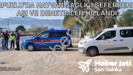 Karpuzlu’da Hayvan Sağlığı Seferberliği: Aşı ve Denetimler Hızlandı