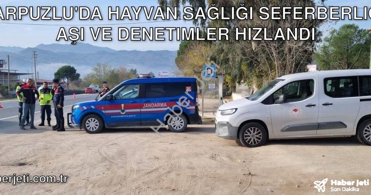 "Karpuzlu'da Hayvan Sağlığı Seferberliği: Aşı ve Denetimler Hızlandı" başlıklı haber için fotorealis