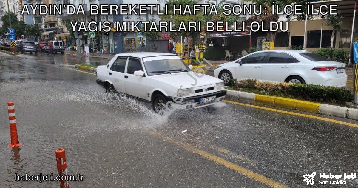 "Aydın'da Bereketli Hafta Sonu: İlçe İlçe Yağış Miktarları Belli Oldu" başlıklı haber için fotoreali