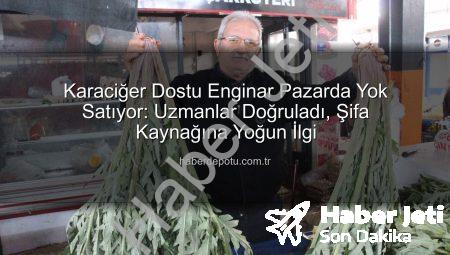 Karaciğer Dostu Enginar Pazarda Göz Kamaştırıyor: Şifa Kaynağına Yoğun İlgi