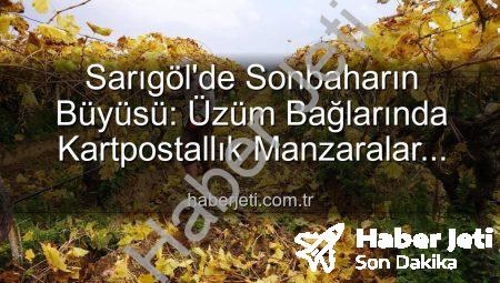 Sarıgöl’de Sonbaharın Büyüsü: Üzüm Bağlarında Kartpostallık Manzaralar Eşliğinde Budama Çalışmaları