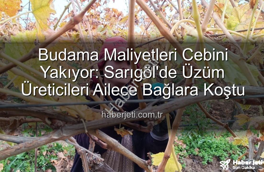 Budama Maliyetleri Cebini Yakıyor: Sarıgöl'de Üzüm Üreticileri Ailece Bağlara Koştu