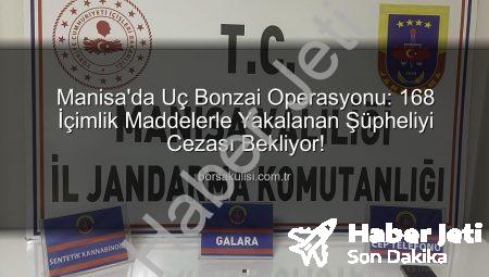Manisa’da Uç Bonzai Operasyonu: 168 Doz Uyuşturucu Ele Geçirildi, 1 Şüpheli Tutuklandı