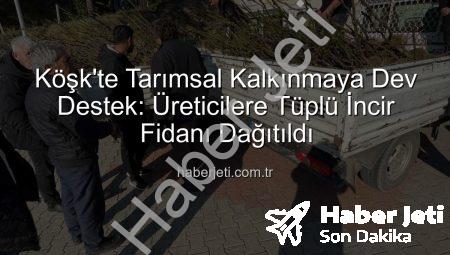 Köşk’te Tarımsal Kalkınmaya Dev Destek: Üreticilere Tüplü İncir Fidanı Dağıtıldı