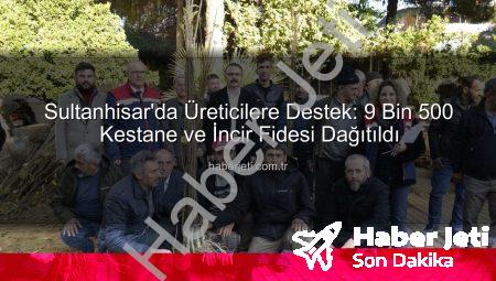 Sultanhisar’da Üreticilere Destek: 9 Bin 500 Kestane ve İncir Fidesi Dağıtıldı