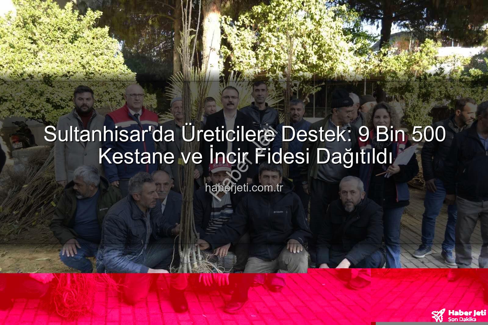 kestane incir fidesi - Sultanhisar'da Üreticilere Destek: 9 Bin 500 Kestane ve İncir Fidesi Dağıtıldı