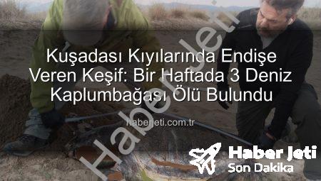 Kuşadası Kıyılarında Endişe Veren Keşif: Bir Haftada 3 Deniz Kaplumbağası Ölü Bulundu