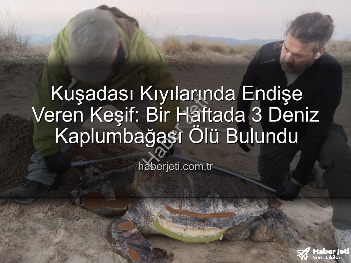 deniz kaplumbağası ölümleri - Kuşadası Kıyılarında Endişe Veren Keşif: Bir Haftada 3 Deniz Kaplumbağası Ölü Bulundu