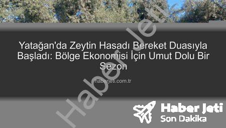 Yatağan’da Zeytin Hasadı Bereket Duasıyla Başladı: Bölge Ekonomisi İçin Umut Dolu Bir Sezon