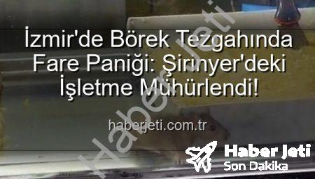 İzmir’de Börek Tezgahında Fare Paniği: Şirinyer’deki İşletme Mühürlendi!