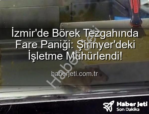 börek tezgahında fare - İzmir'de Börek Tezgahında Fare Paniği: Şirinyer'deki İşletme Mühürlendi!