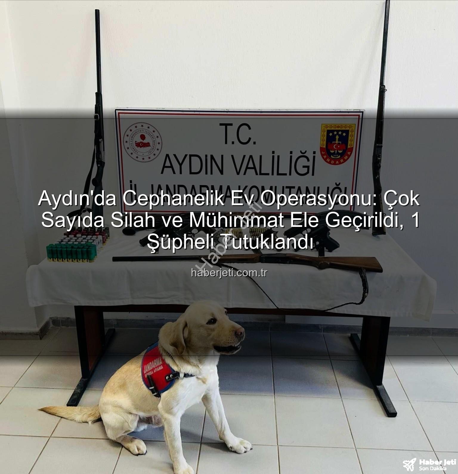 ruhsatsız silah - Aydın'da Cephanelik Ev Operasyonu: Çok Sayıda Silah ve Mühimmat Ele Geçirildi, 1 Şüpheli Tutuklandı