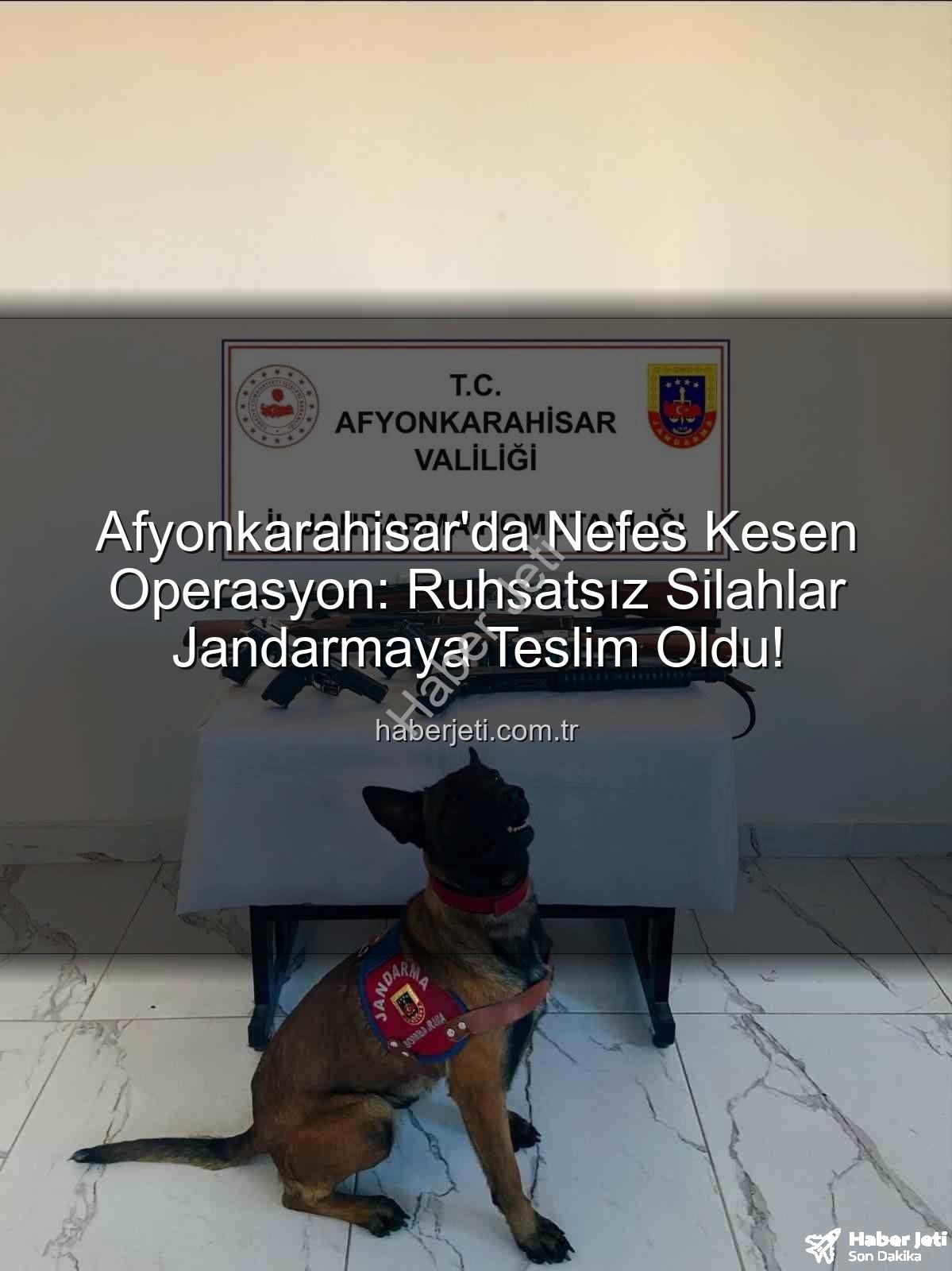 ruhsatsız silah operasyonu - Afyonkarahisar'da Nefes Kesen Operasyon: Ruhsatsız Silahlar Jandarmaya Teslim Oldu!