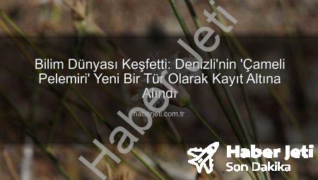 Bilim Dünyası Keşfetti: Denizli’nin ‘Çameli Pelemiri’ Yeni Bir Tür Olarak Kayıt Altına Alındı