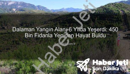 Dalaman Yangın Alanı 6 Yılda Yeşerdi: 450 Bin Fidanla Yeniden Hayat Buldu