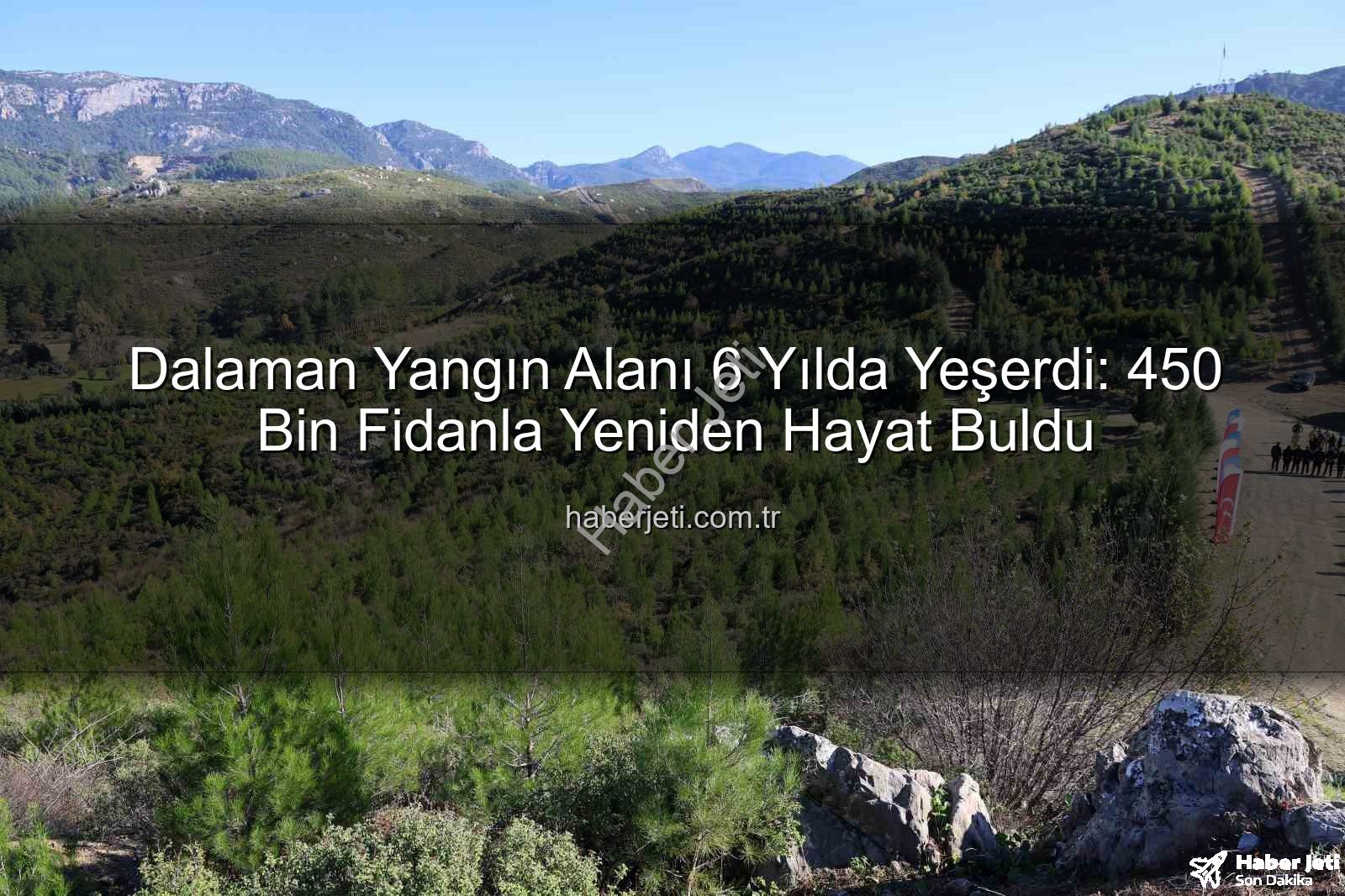 Dalaman yangın alanı - Dalaman Yangın Alanı 6 Yılda Yeşerdi: 450 Bin Fidanla Yeniden Hayat Buldu